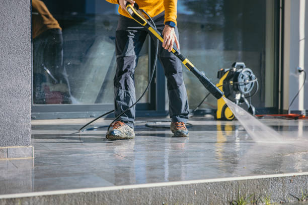 Best Roof Cleaning and Mildew Removal in Bethel, NC